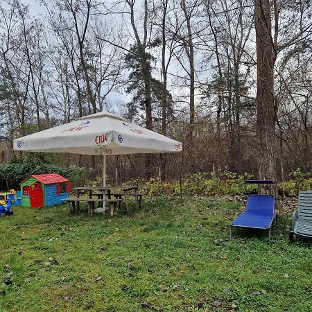Pensiunea Carpe Diem Ramnicu Valcea Bagian luar foto