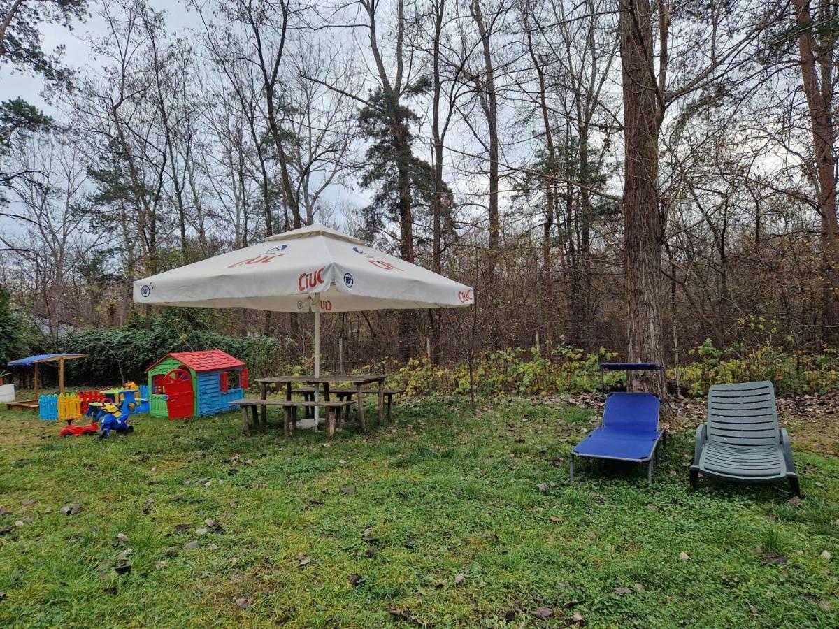 Pensiunea Carpe Diem Ramnicu Valcea Bagian luar foto
